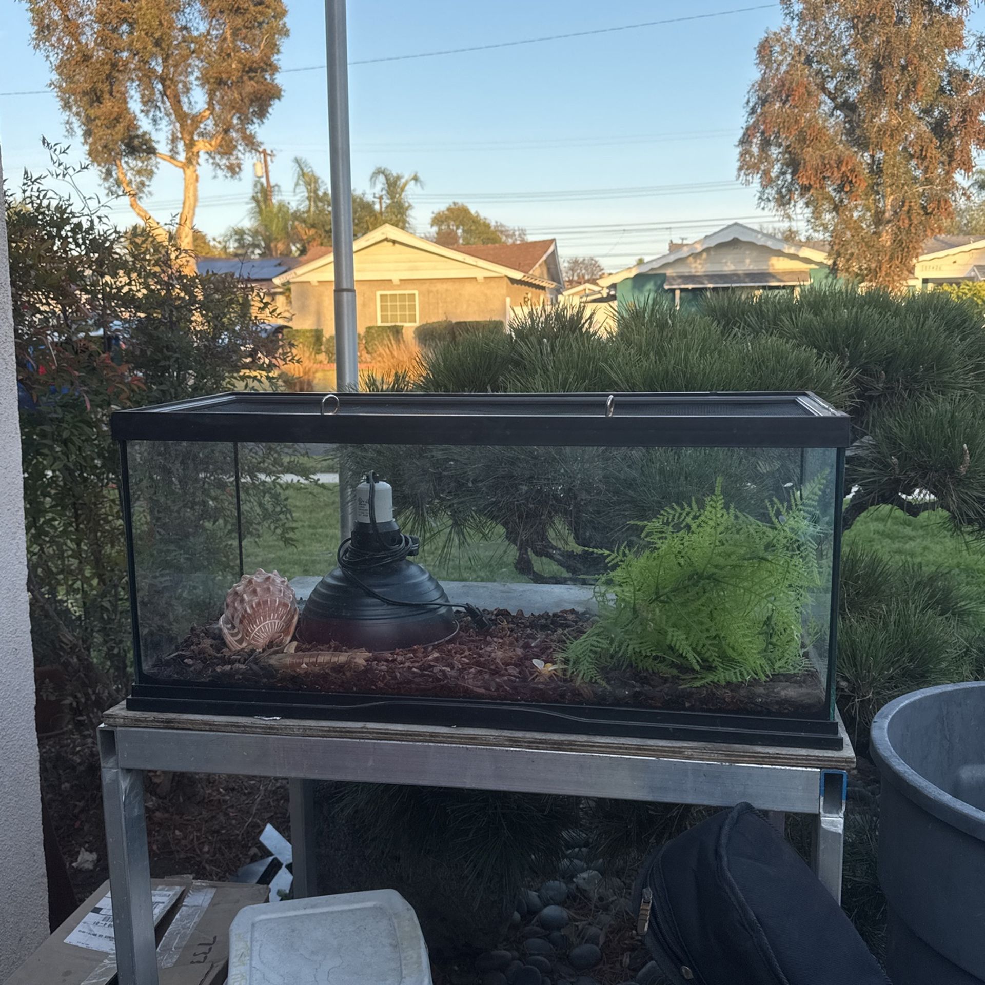 20 gallon reptile terrarium