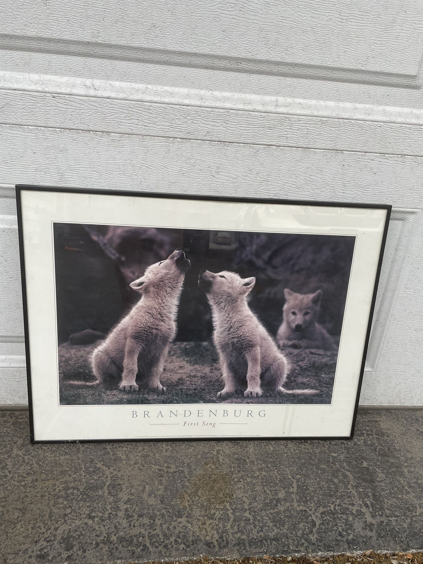 Brandenburg Wolf Art—WANT GONE
