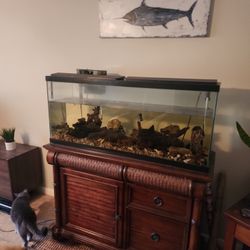 55 Gallon Fish Tank. All Accessories And Led Light