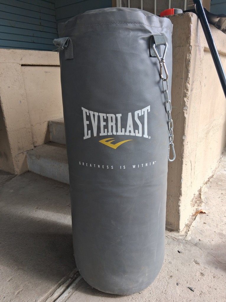 Everlast Punching Bag