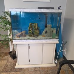Fish Tank 