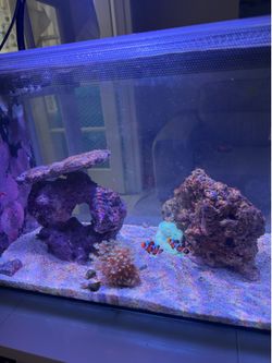 Fluval evo 13.5