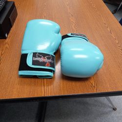 Century I Love Kickboxing Unisex Adult Light  Green MMA Boxing Sparring Gloves 16 Oz 