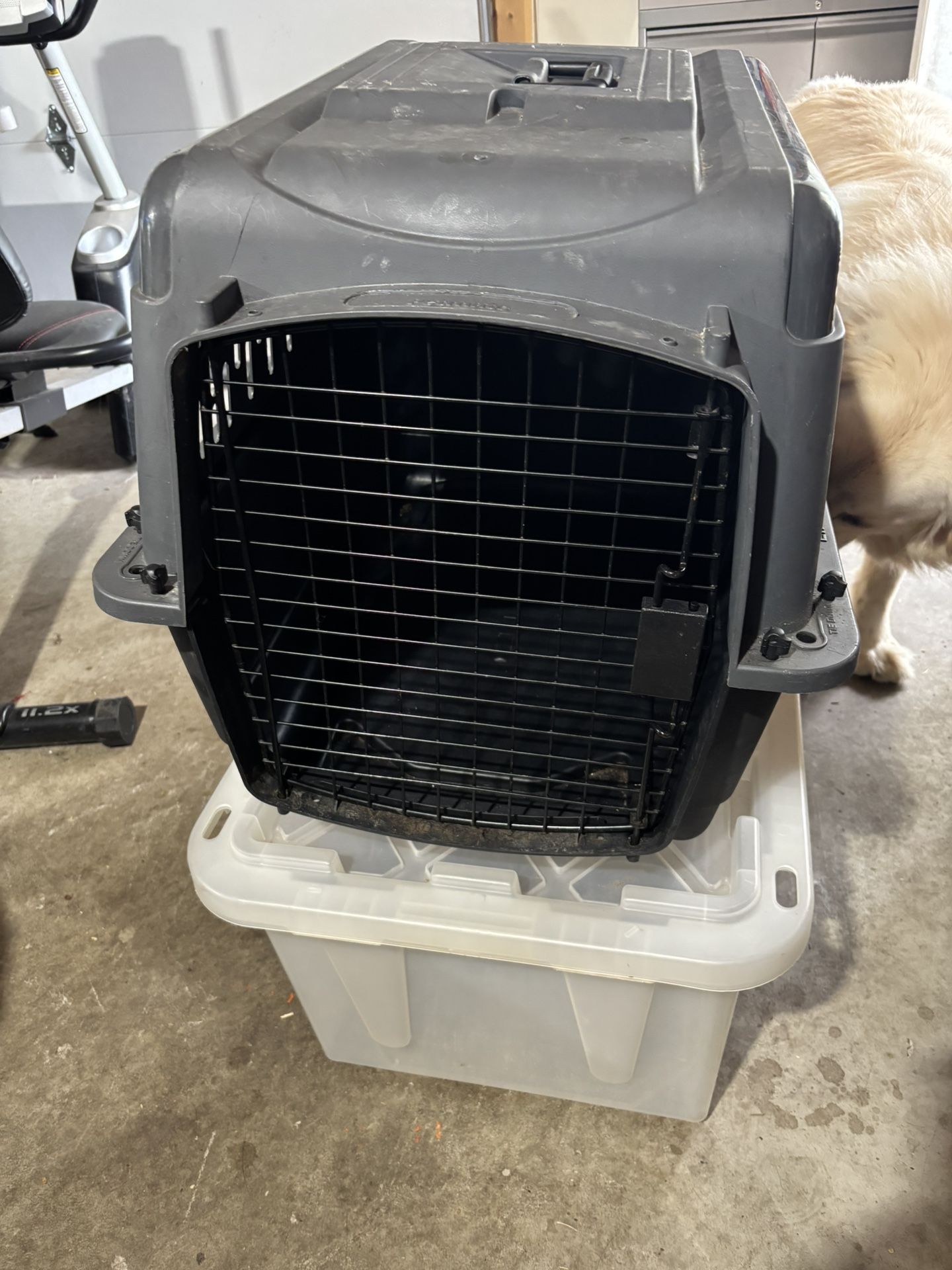 Dog Pet Carrier Up To 30 Pounds