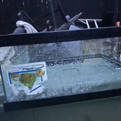 Terrarium-reptile-turtles-fish 