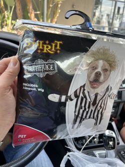 NEW-X-Large Beetle juice Costume For Dog