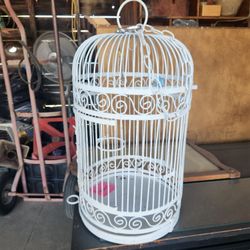 Bird Cage