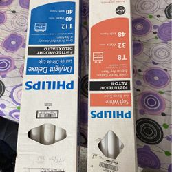 Philips T12 And T8 Light 