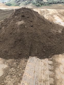 Dirt