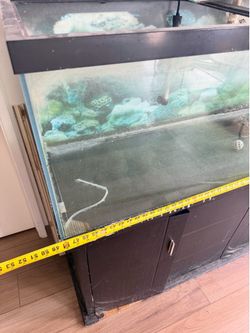 Complete Fish Tanks/food/filters/etc…