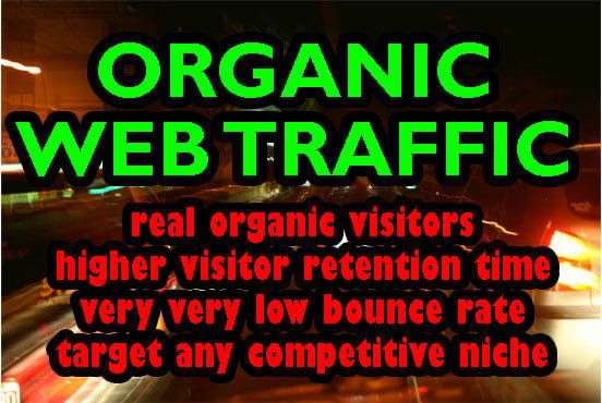 I Will drive traffic to website, promote website to real people
