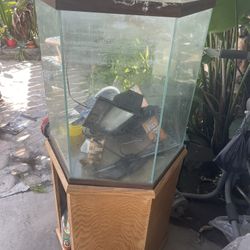 60 Gallon Hexagon Fish Tank