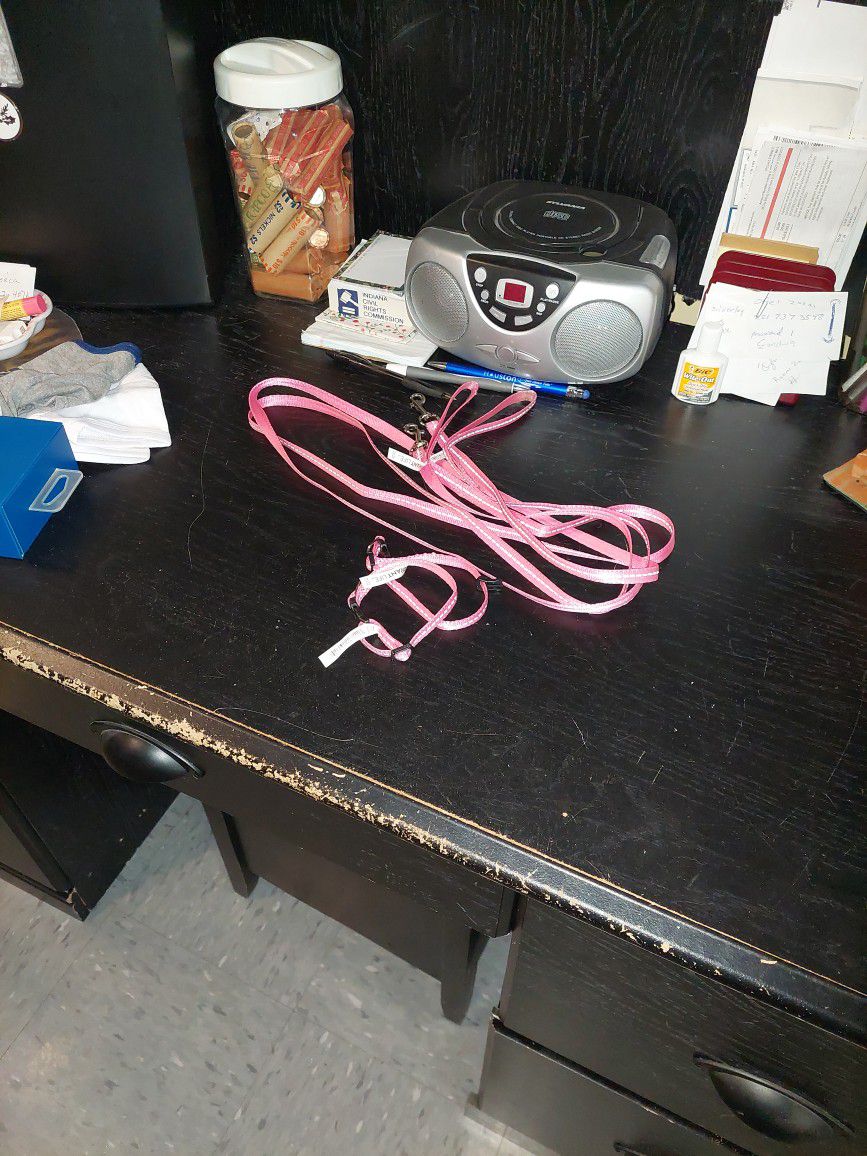 2 Pink Leashes And 2 Small Pink Collers