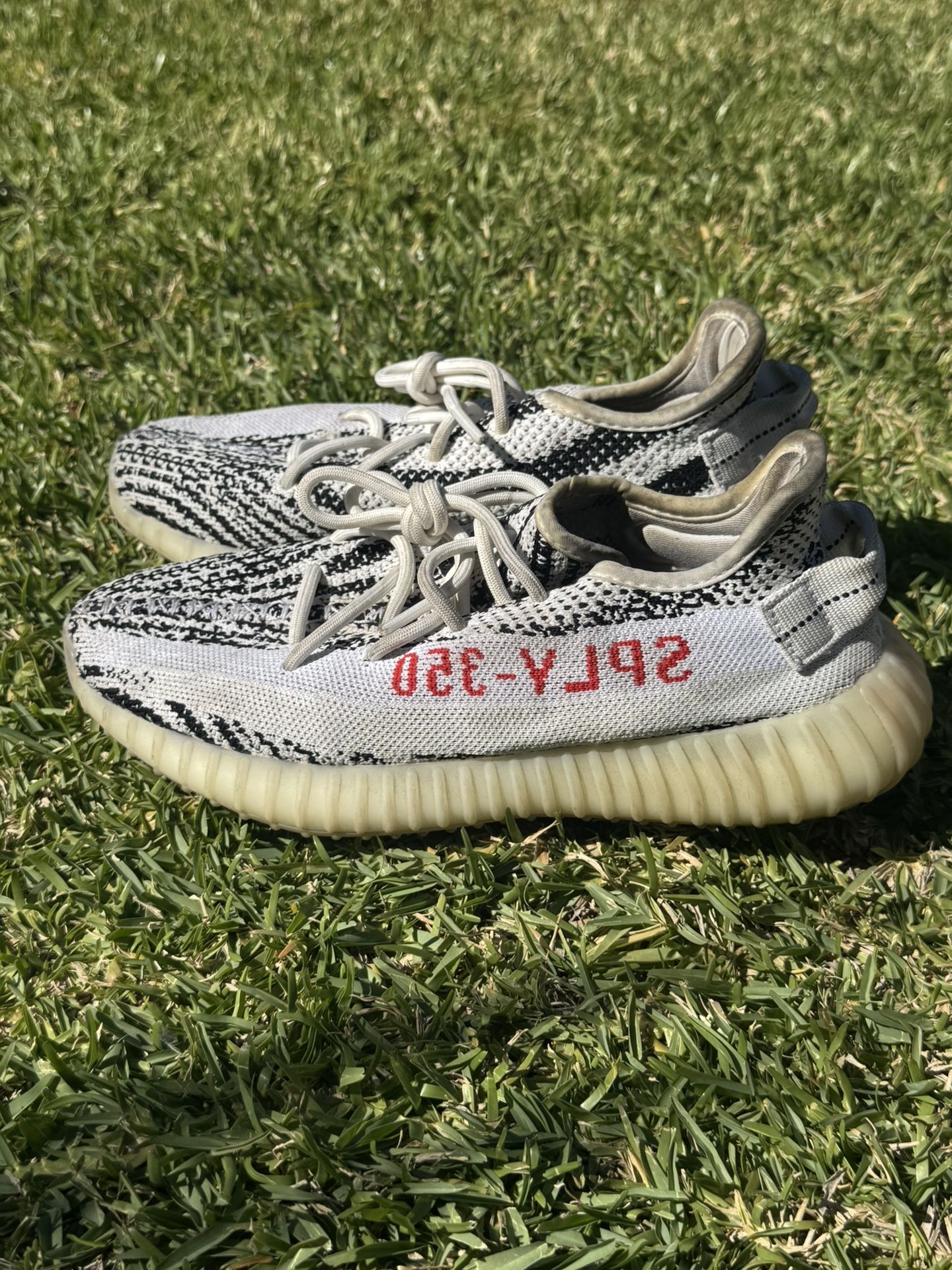 adidas Yeezy Boost 350 V2 Zebra Size 7
