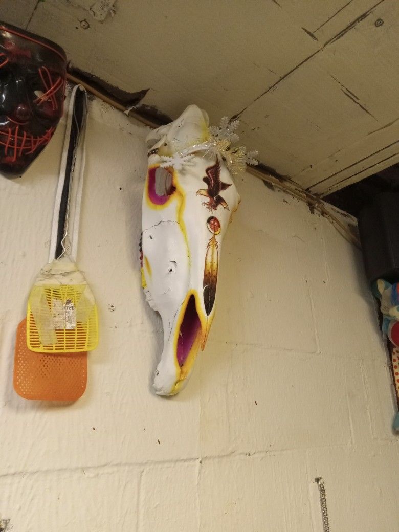 Authentic Hand Painted Native American Horse Skull