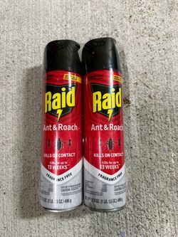 Raid Ant & Roach Killer Spray, Fragrance Free, 17.5 Oz, set of 2
