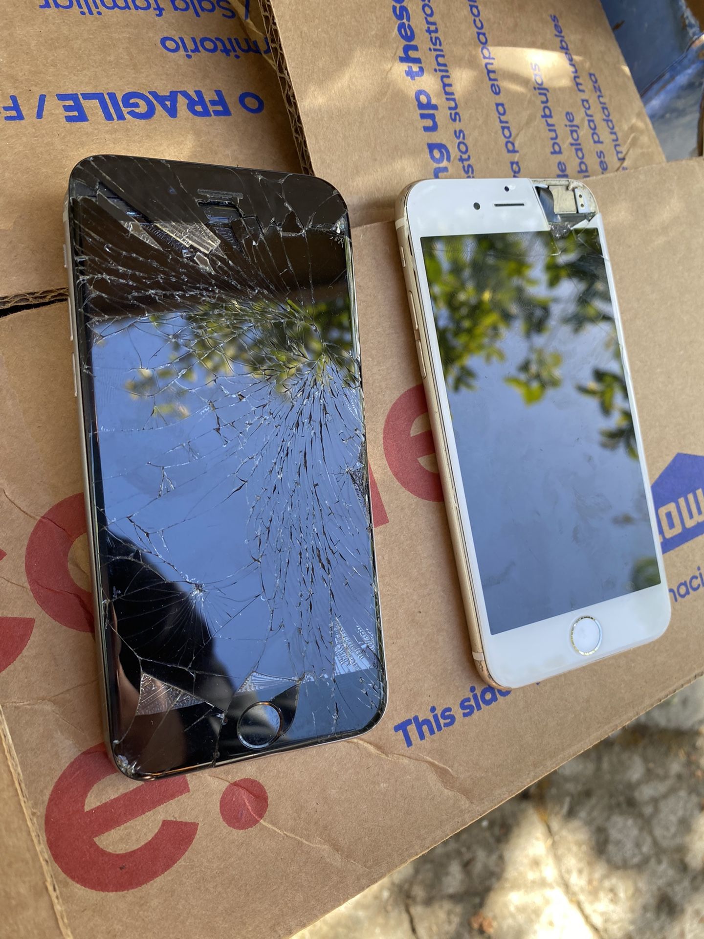 iPhone 6 Rose Gold And iPhone 6s Silver