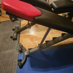 Bowflex 3.1 Weight Bench Workout Gym Equipment 