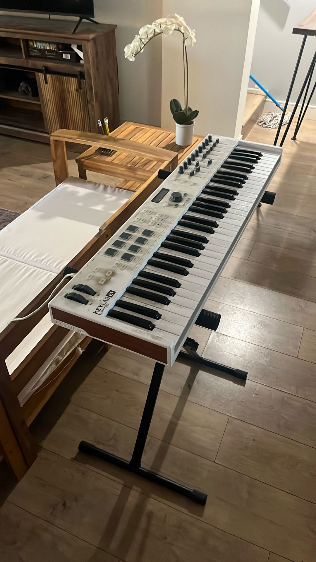 Dust Collecting Arturia Very Beautiful Keyboard 61 Keys