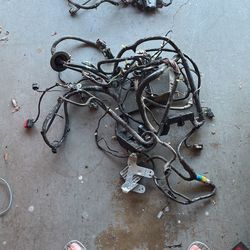 2003 Ford Mustang Main Vehicle Wiring Harness