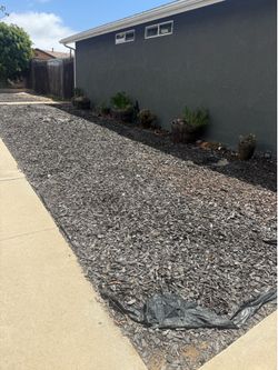 FREE black mulch/wood chips