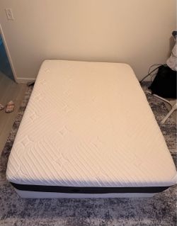 Member's Mark memory foam Mattress and Amazon Basics Box Spring Set