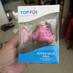 Fish For Aquarium Decorating 