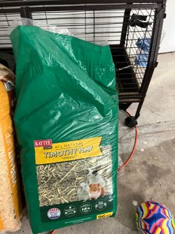 Guinea pig cage, food and bedding