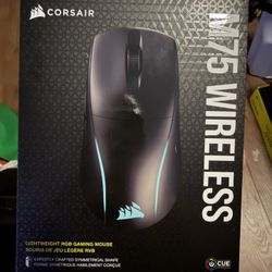 Corsair m75 Wireless Gaming Mouse 