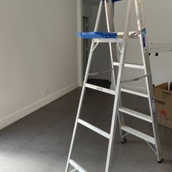 Werner 6 Ft Aluminum Step Ladder