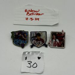 Disney Jonas Brothers Pins ($30 Each) 