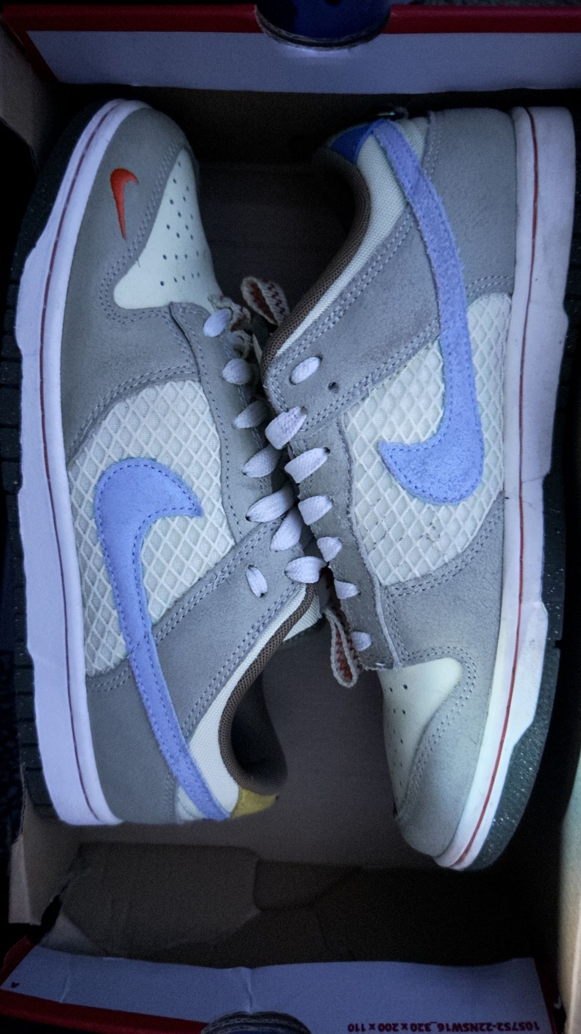 nike dunks
