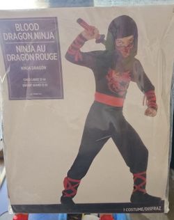 Ninja Halloween Costume