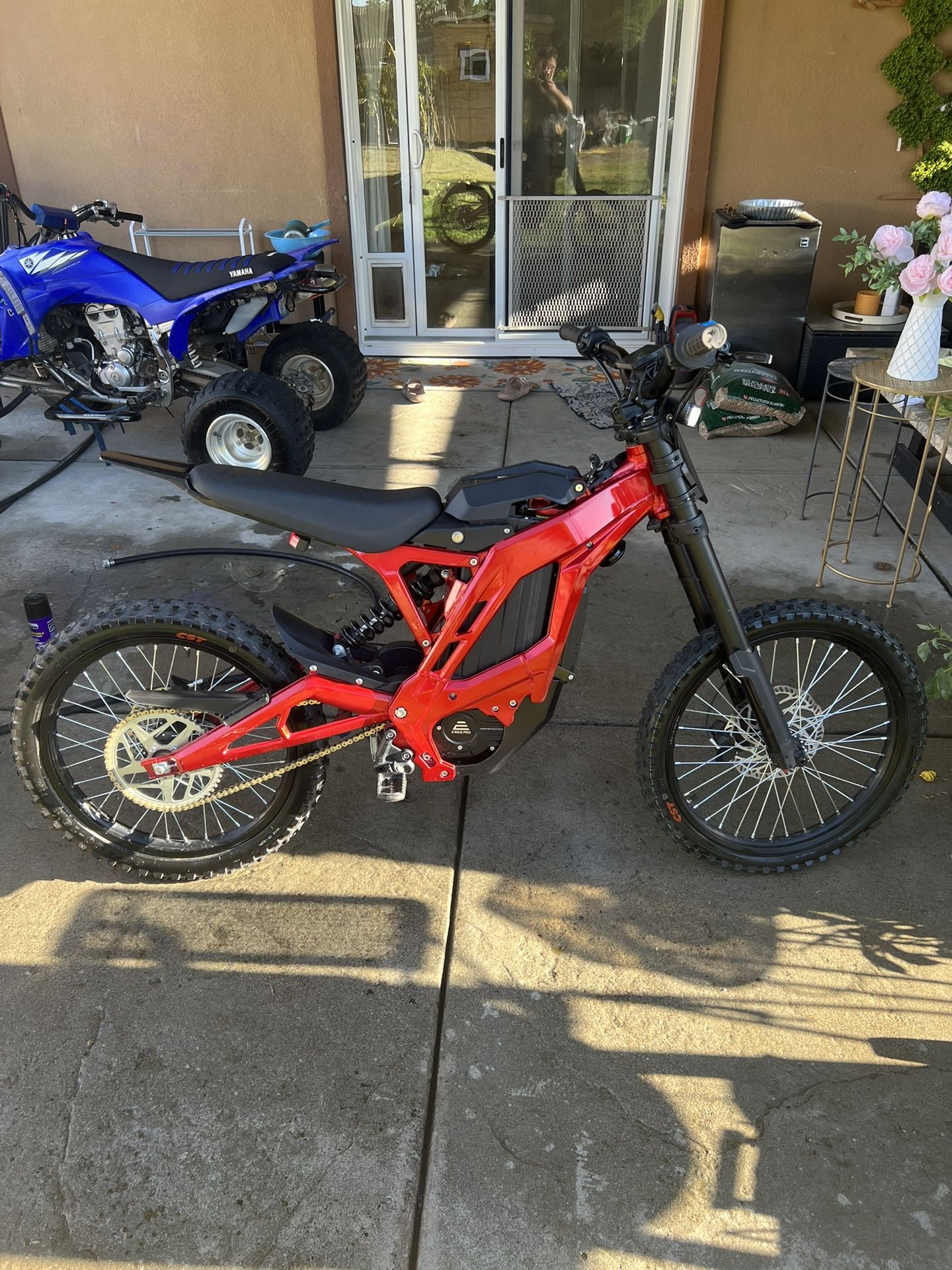 E-Ride Pro SS 2.0