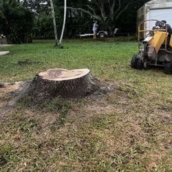 Stump Grinding 