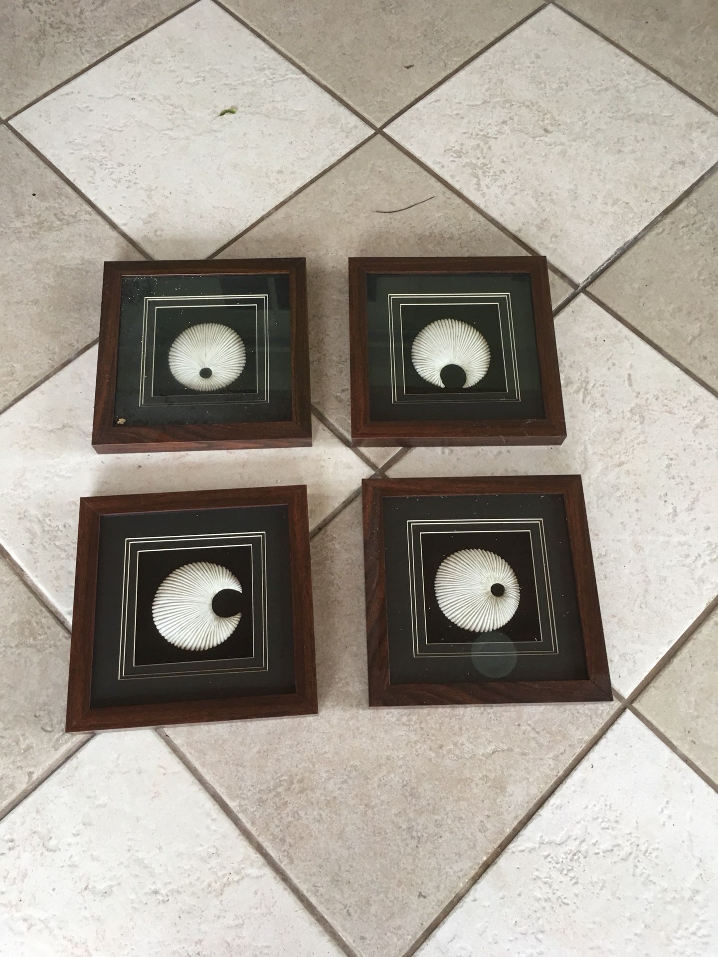 Frames