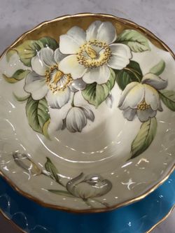 Aynsley Dogwood Rare Cup/saucer
