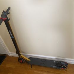 Adult  Hover-1 Scooter 