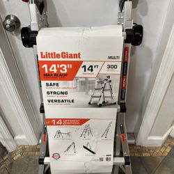 Multi-Position Ladder