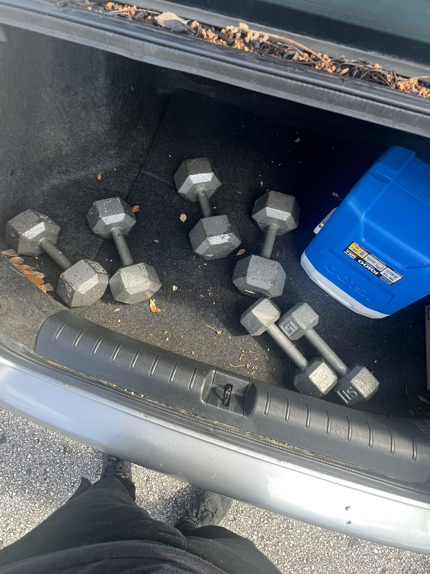 Dumbbells 15lb 25lb 35lb