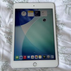 iPad mini 5 A2133