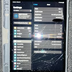 Apple iPad