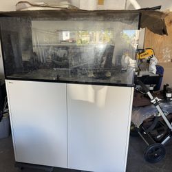 Red Sea Peninsula 500