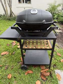 Napoleon TravelQ portable Electric grill