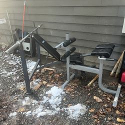 Olympic Bench, Roman Chair, Bars, Weights