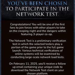 Elden Ring Nightreign Network Test