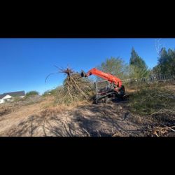 land clearing and mulching work is carried out 