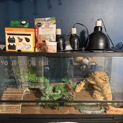 40 gallon reptile tank