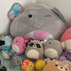 Squish mellows Big Confy To Play