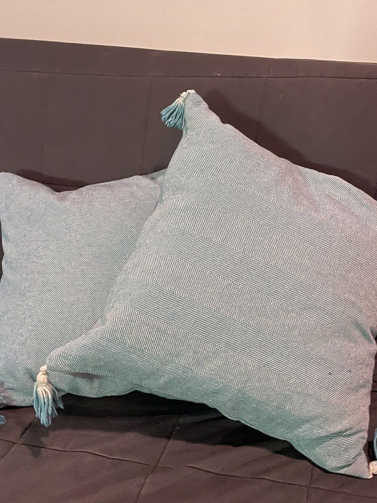 throw pillows teal